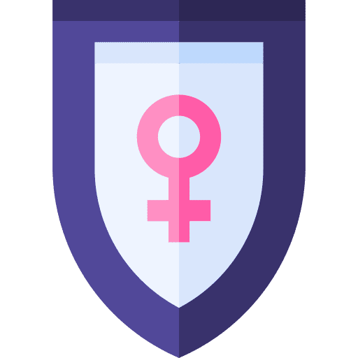 Shield security feminism shield icon