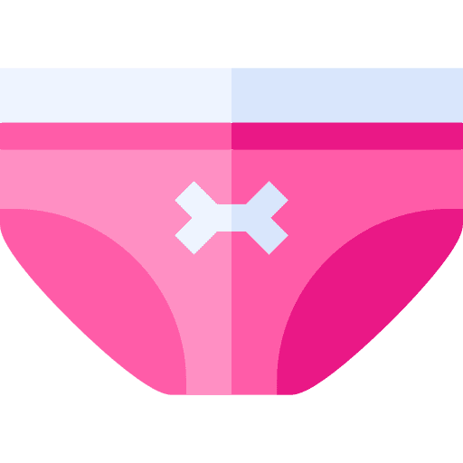 Panty knickers fashion underwear icon Panty knickers fashion underwear icon