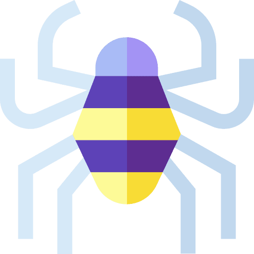 Spider bug insect spider icon