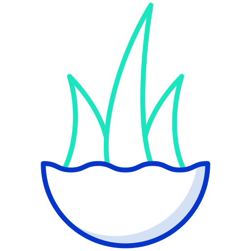 Aloe vera exotic farming and gardening cosmetic icon