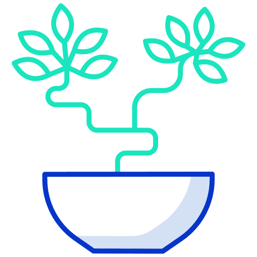 Bonsai gardening chinese plant icon