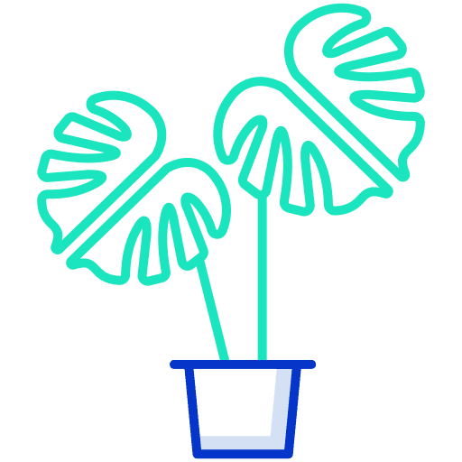 Plant monstera gardening monstera leaf icon