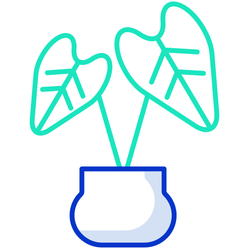 Rubber plant nature pot gardening icon