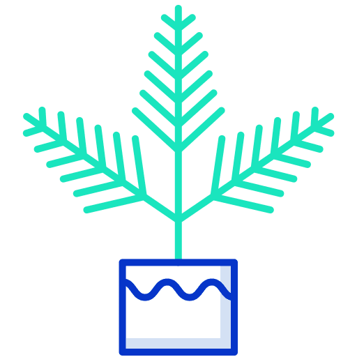 Fern nature botanical fern icon Fern nature botanical fern icon