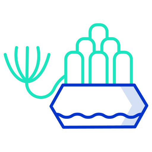 Plant nature cactus botanic icon Plant nature cactus botanic icon