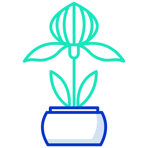 Plant orchid garden decoration icon Plant orchid garden decoration icon