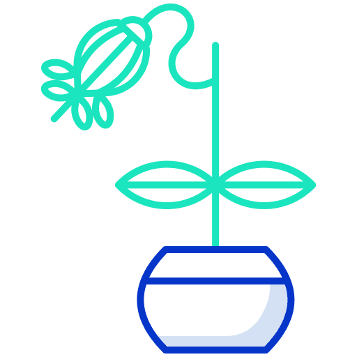 Plant vines nature plant icon Plant vines nature plant icon