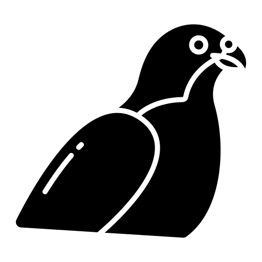 Falcon beak zoology wild life icon