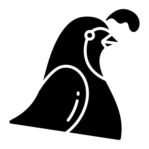 Quail bird feathers beak icon