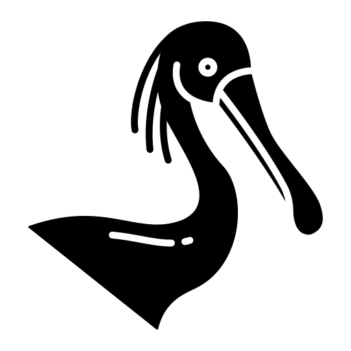 Spoonbill animal kingdom ornithology zoology icon Spoonbill animal kingdom ornithology zoology icon