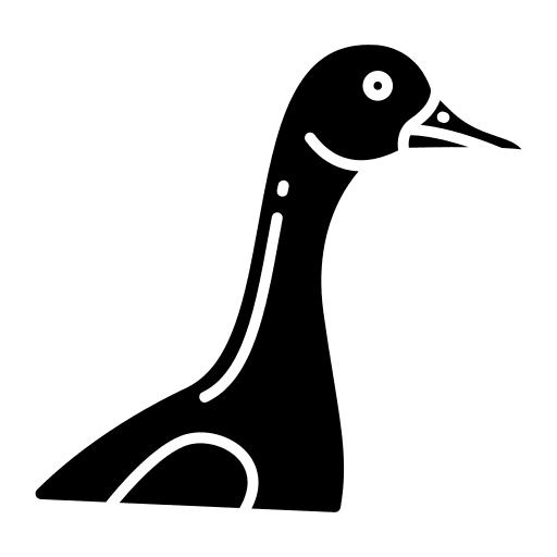 Goose zoology ornithology user icon Goose zoology ornithology user icon