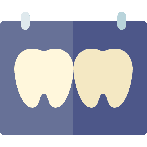 X ray dentist medical premolar icon X ray dentist medical premolar icon