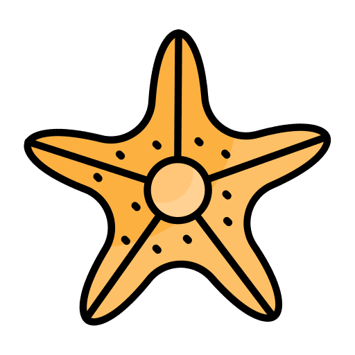 Starfish echinoderm invertebrate sea life icon Starfish echinoderm invertebrate sea life icon