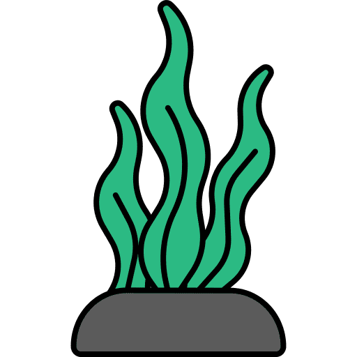Alga sea life marine seaweed icon