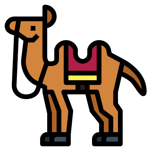 Camel dessert animal wildlife icon
