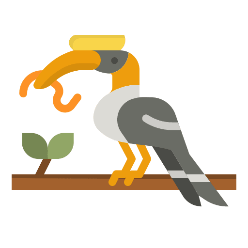 Hornbill ornithology bird zoo icon Hornbill ornithology bird zoo icon