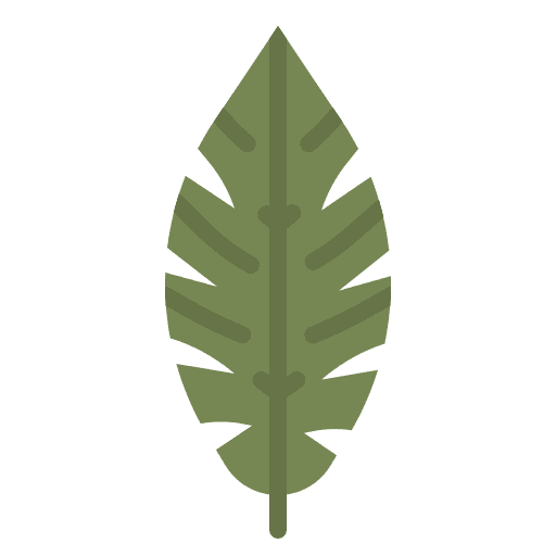 Leaf plant banana nature icon Leaf plant banana nature icon