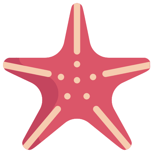 Starfish starfish echinoderm aquatic icon