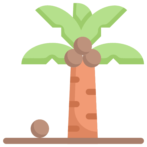 Palm tree tropical nature botanical icon