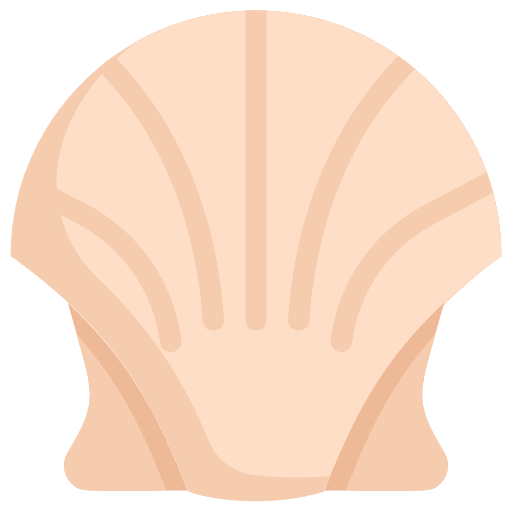 Seashell life sea life seashell icon