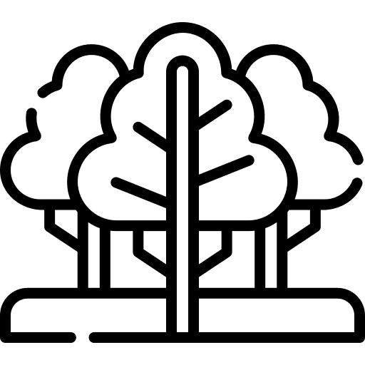 Forest forest landscape nature icon