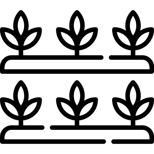 Plant grow plant farming and gardening icon