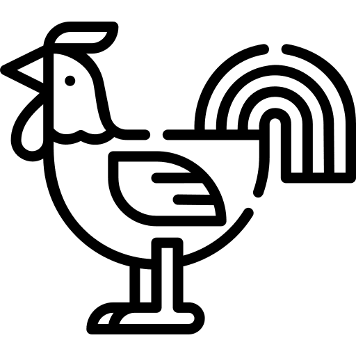 Chicken bird chicken farming icon