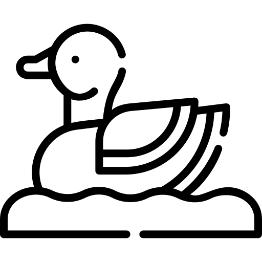 Duck duck animals nature icon