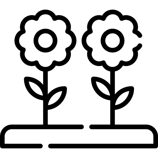 Flowers petals blossom flowers icon