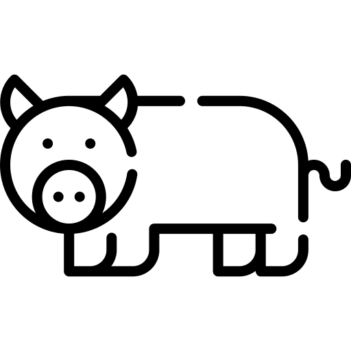 Pig fauna animal kingdom zoology icon