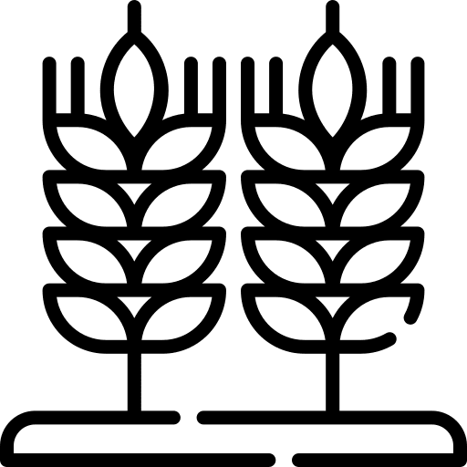 Wheat farming and gardening seed cereal icon