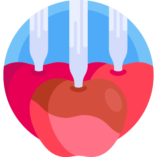 Caramelized apple caramelized apple sweet fruit icon