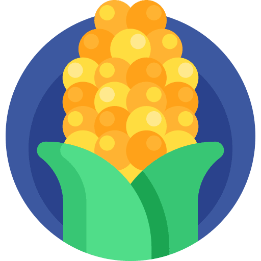 Corn corn cereal healthy icon Corn corn cereal healthy icon