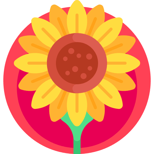 Sunflower botanical sunflower nature icon Sunflower botanical sunflower nature icon