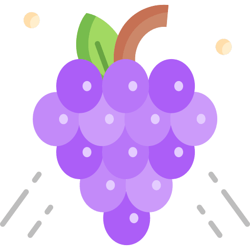 Grapes fruit organic bouquet icon Grapes fruit organic bouquet icon