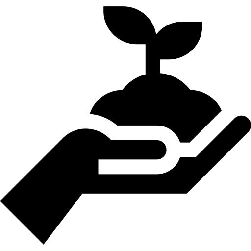 Plant plant sprout maturity icon