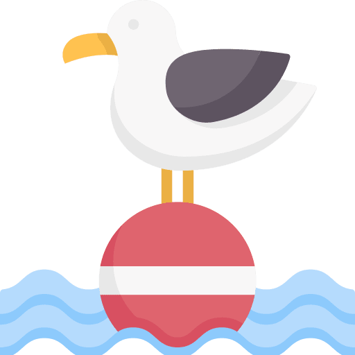 Seagull animals bird seagull icon