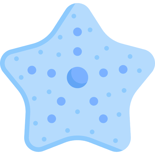 Starfish animal ocean starfish icon