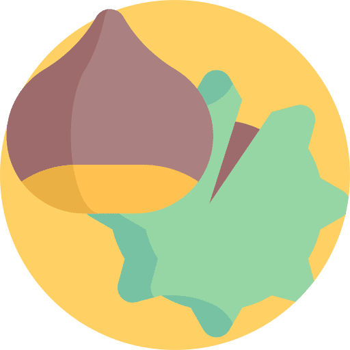 Chestnut acorn fall oak icon Chestnut acorn fall oak icon