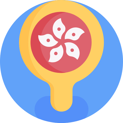 Hong kong nation maps and location flags icon Hong kong nation maps and location flags icon