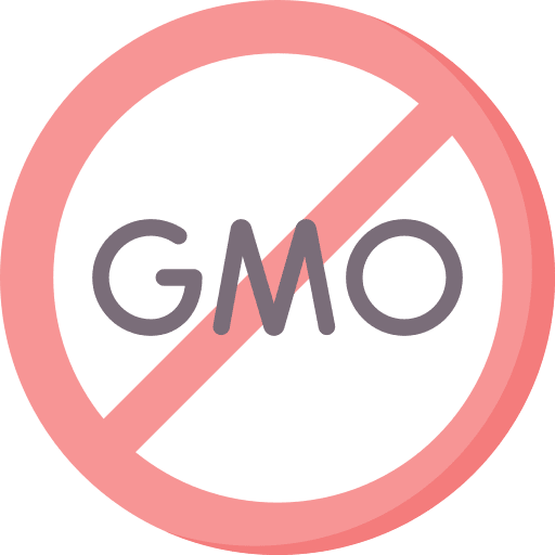 Non gmo food diet vegetarian icon