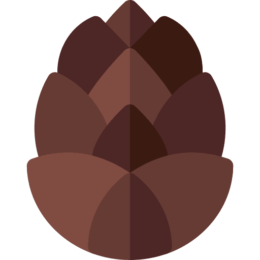 Cone cone cedar decorate icon