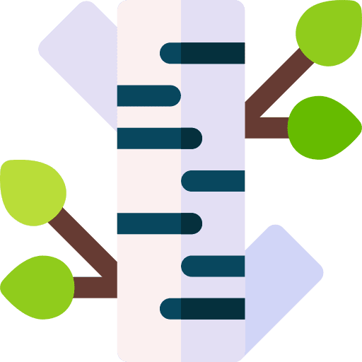 Birch nature wood tree icon