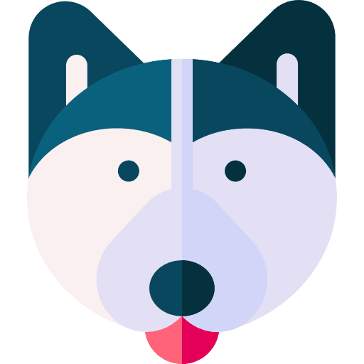 Siberian husky animal kingdom breed dog icon