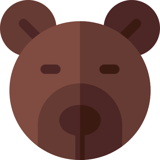 Bear animals mammal wild life icon