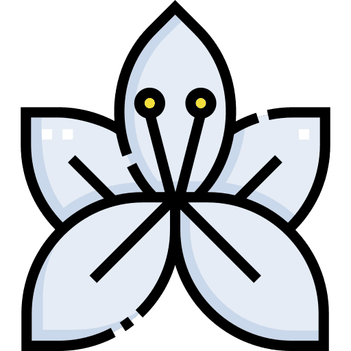 Lily lily botanical flower icon Lily lily botanical flower icon