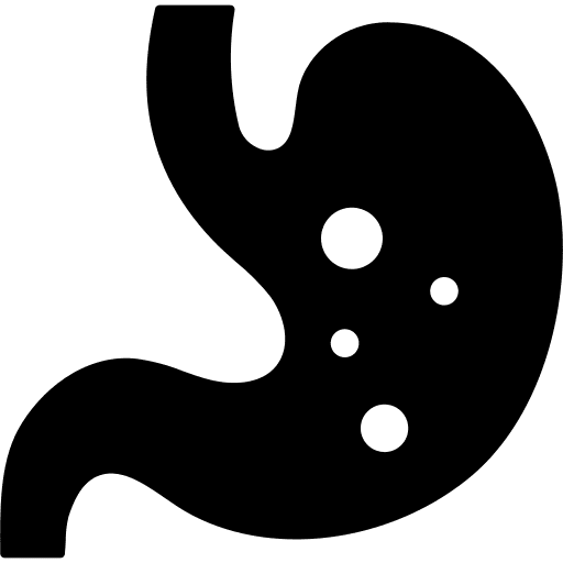 Stomach healthcare and medical stomach internal organ icon