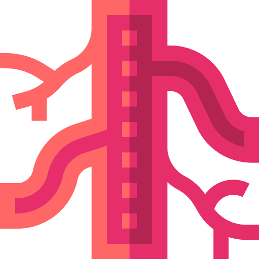 Vascular arteries healthcare and medical disease icon Vascular arteries healthcare and medical disease icon