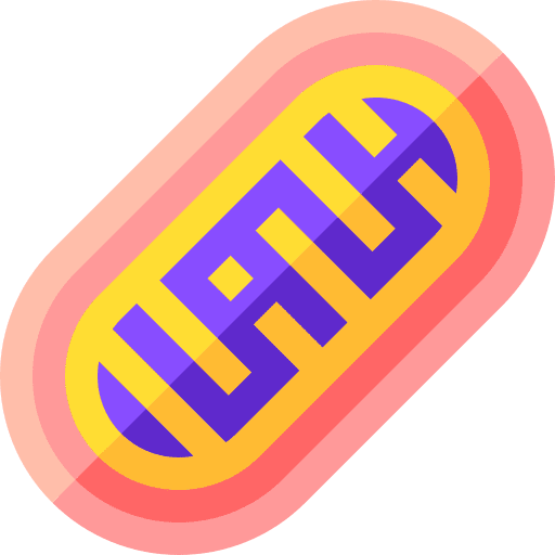 Mitochondria mtdna dna mitochondrial icon Mitochondria mtdna dna mitochondrial icon