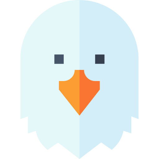 Eagle bird ornithology wildlife icon